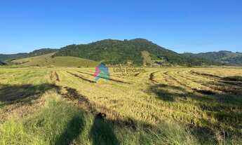 Imagem 4: Terreno, Agricola