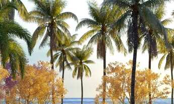 Imagem 4: Apartamento com vista mar