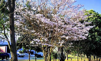 Imagem 5: Vale Florido II  Casa 126 m², com 03 dormitórios