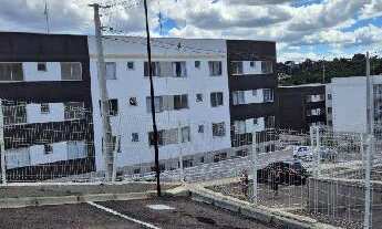 Imagem: Oportunidade Única em ALMIRANTE TAMANDARE