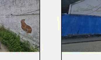 Imagem: Oportunidade Única em SAO GONCALO - RJ