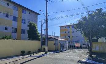 Imagem: Oportunidade Única em SAO JOSE DOS PINHAIS