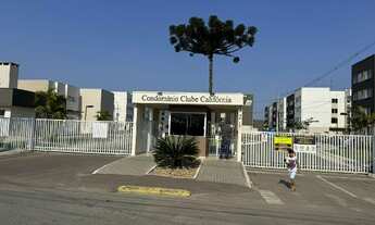 Imagem: Oportunidade Única em CAMPO LARGO - PR