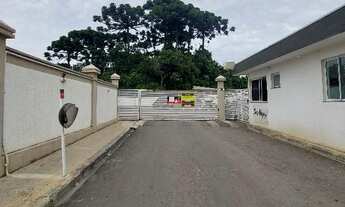 Imagem: Oportunidade Única em ALMIRANTE TAMANDARE