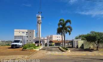 Imagem: Oportunidade Única em APUCARANA - PR Tipo