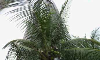 Imagem 3: Apartamento, Alto Padrão,4 quartos/Suites, Venda, Av. Boa Viagem, Boa Viagem, Recife