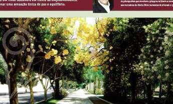 Imagem 5: Edf. Maria Olivia