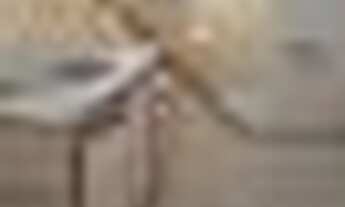 Imagem 6: Centro, perto das Barcas, Faculdades,comércios, shoppings, de Icaraí ,1 quarto, 1 vaga , p