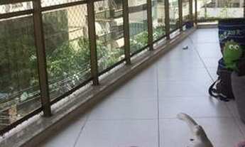 Imagem 4: Excelente 3 qrts com suíte no jardim icaraí, varandão, Ambientes com armários planejados M