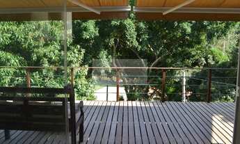 Imagem 2: Lírios do Campo 2