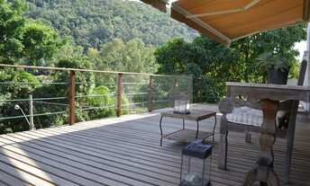 Imagem 3: Lírios do Campo 2