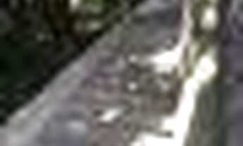 Imagem 3: Maravilhosa casa no Condomínio Ubá Vila Verde, 7 suítes, 4 vagas