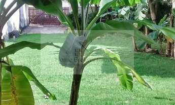 Imagem 3: Terreno em Maravista - Itaipu - com 352 m2. Próximo ao Colégio Pensi e ao mercado Diamante