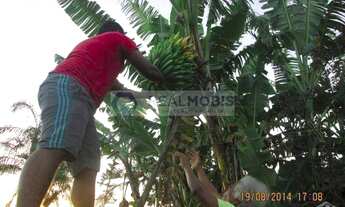 Imagem 5: PARAISO ECOLOGICO, 1 dormitório, 1 banheiros, 110M² de Área Construída, 210000M² de Área T