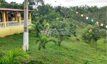 Imagem 4: Chácara as Margens Asfalto Pirituba