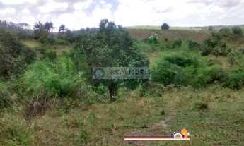 Imagem 3: Chácara Na Zona Rural de Moreno na Região Metropolitana