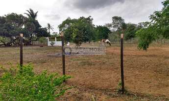 Imagem 4: Sitio á 1 Km do Asfalto que Liga a Vila de Pirituba (1,5 Ha