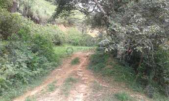 Imagem 2: Fazenda pra arrendar ou Vender (90,5 HA