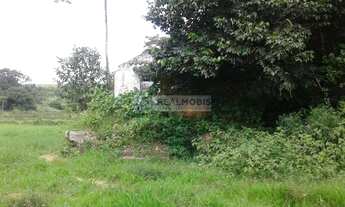 Imagem 3: Fazenda pra arrendar ou Vender (90,5 HA