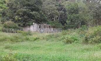 Imagem 4: Fazenda pra arrendar ou Vender (90,5 HA