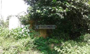 Imagem 5: Fazenda pra arrendar ou Vender (90,5 HA