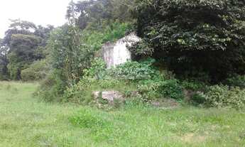 Imagem 6: Fazenda pra arrendar ou Vender (90,5 HA