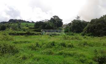 Imagem 7: Fazenda pra arrendar ou Vender (90,5 HA