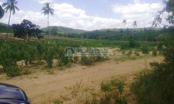 Imagem 2: Terreno no Cohab 2 Em Vitoria