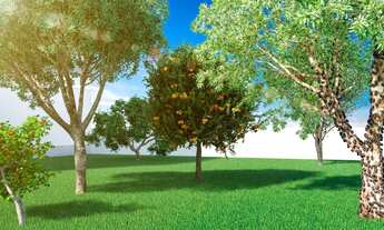 Imagem 4: ENTREGA JUNHO 2020