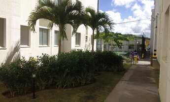 Imagem 4: Cond. Pitombeira Reserva Vila Natal