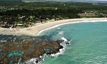 Imagem 2: Beach Class Eco Life