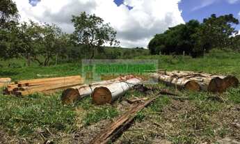 Imagem: Fazenda para criação de gado vale do Paraíba