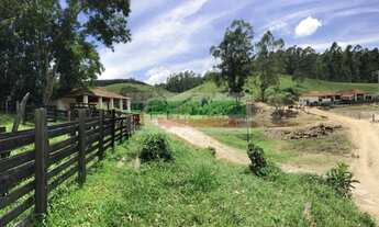 Imagem 3: Fazenda para criação de gado vale do Paraíba