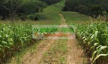 Imagem 4: Fazenda para criação de gado vale do Paraíba