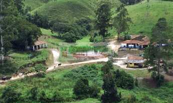 Imagem 6: Fazenda para criação de gado vale do Paraíba