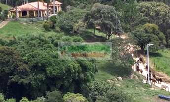 Imagem 7: Fazenda para criação de gado vale do Paraíba