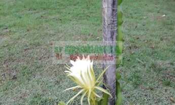 Imagem 7: Chácara vista para o Mar Ubatuba, praia Maranduba