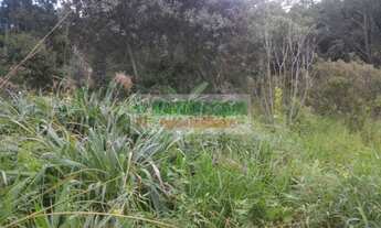 Imagem: Pequena chácara em Paraibuna, com nascente