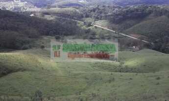 Imagem: Fazenda em Paraibuna com 96 hectares, boa