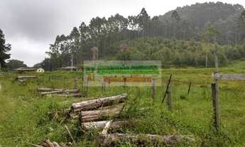 Imagem 2: Sítio em São Luís do Paraitinga, sítio dos sonhos,lago e eucalipto