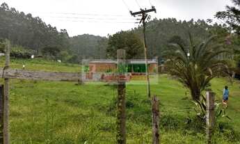 Imagem 3: Sítio em São Luís do Paraitinga, sítio dos sonhos,lago e eucalipto