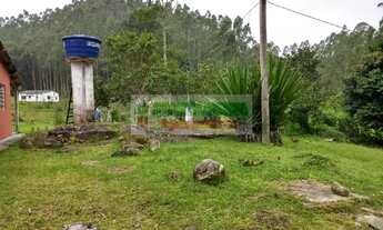 Imagem 5: Sítio em São Luís do Paraitinga, sítio dos sonhos,lago e eucalipto