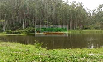 Imagem 6: Sítio em São Luís do Paraitinga, sítio dos sonhos,lago e eucalipto