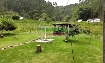 Imagem 7: Sítio em São Luís do Paraitinga, sítio dos sonhos,lago e eucalipto