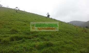 Imagem: Sítio com 5 alqueires em Paraibuna, com