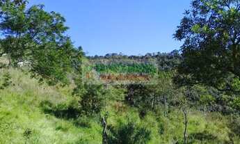 Imagem 5: Sítio 5 alqueires em São Francisco Xavier com riacho