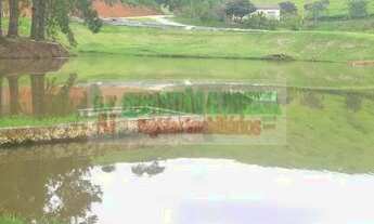 Imagem 7: Sítio rico em água, com piscina, nascentes, em Taubaté