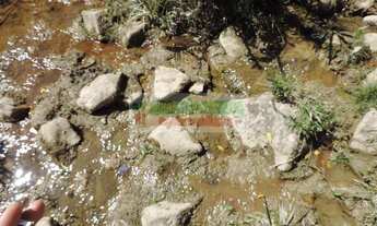 Imagem: Sítios dois alqueires, nascente de água,São