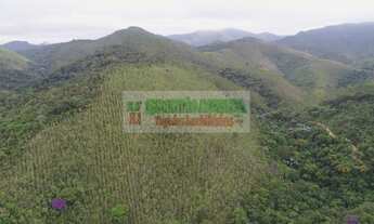 Imagem: Sítio em São Francisco Xavier, com nascente