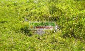 Imagem 5: Sítio em Paraibuna, A partir de 120 mil, boa topografia